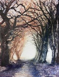 2023-03 Winterliche Allee im Gegenlicht